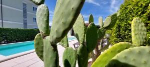 Nonna Anita Palace Narni