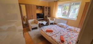 Apartment Balatonföldvar - Balaton 18519