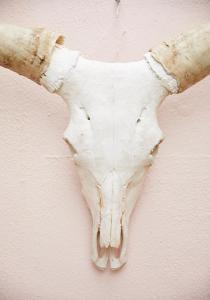 THE BIG - Luxury Backpackers