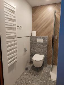 Comfort Double Room room in Szwajcarka
