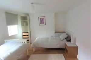 2 Bedroom Victorian Garden Flat