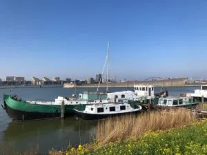 Floating B&B Amsterdam - Schellingwoude