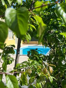 Casa vacanze Mare Fuori img47