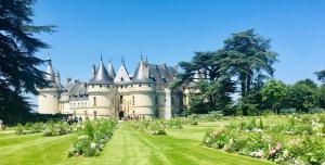 Villas Domaine Oranga, un design elegant au luxe epure pres des Chateaux de la Loire : photos des chambres