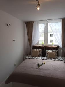 Apartament u Ani