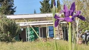 Olive Gardens Cottage 