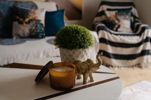 FAND Center Apartman Luxury