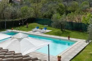 Ovaiola - 奇维泰拉伊恩瓦尔迪基亚纳