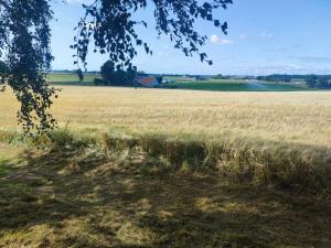 obrázek - Gästhus på Österlen med närhet till strand & golf