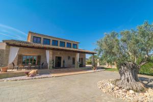 Finca Aria