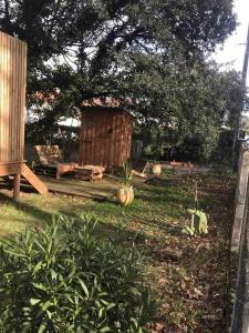 Appartements Ma cabane sous les arbres : photos des chambres