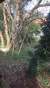 Appartements Ma cabane sous les arbres : photos des chambres