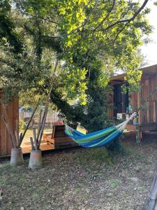 Appartements Ma cabane sous les arbres : photos des chambres