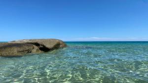 Domus Virginia img34