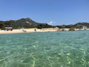 Domus Virginia img35