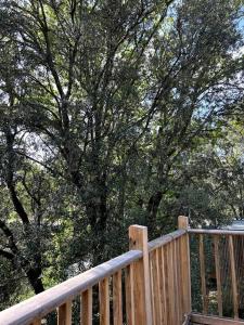 Appartements Ma cabane sous les arbres : photos des chambres