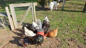 Gîte CASTANDEL LE HAUT