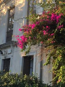 L' îlot des îles - Cuxac-dʼAude