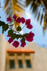 Yum Botic Villa Beach House