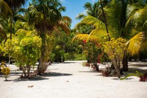 Yum Botic Villa Beach House