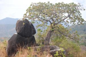 HOSTEL RESTAURANTE PUNTO DEL SABOR