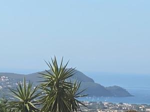 Villas La Villa Douce, entre terre et mer : photos des chambres