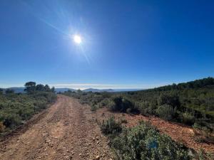 Villas La Villa Douce, entre terre et mer : photos des chambres