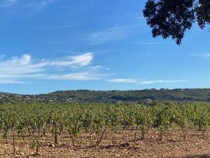 Villas La Villa Douce, entre terre et mer : photos des chambres