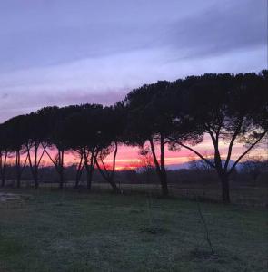 Villa Donnola: casa Rosmarino