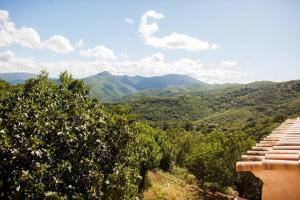 Maisons de vacances Les Jardins de Lacamp, un paradis en sud Cevennes : photos des chambres