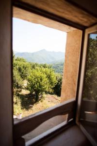 Maisons de vacances Les Jardins de Lacamp, un paradis en sud Cevennes : photos des chambres