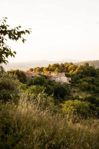 Maisons de vacances Les Jardins de Lacamp, un paradis en sud Cevennes : photos des chambres