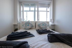 Com conforto na Lapa, Porto