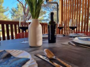 Premium mobile home SUN & JOY - Oaza Mira Camping