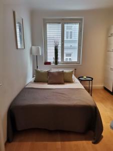 Central Alpha Apartment 7min to the city centar