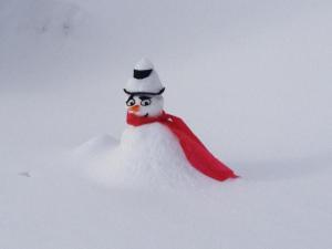 Ferienwohnung Maier - Fontanella