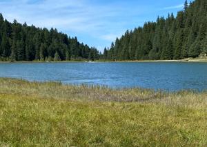 Chalet Olympie, Appartement avec balcon et vue montagne, ski aux pieds, Méribel-Mottaret