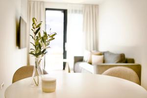 Modern Mediterranean Superior Apartment