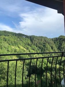 Mansard underneath the stars