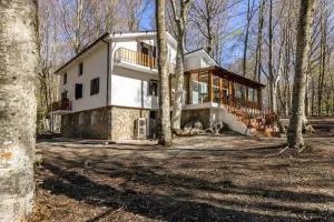 La Corteccia del Faggio - Vivo dʼOrcia