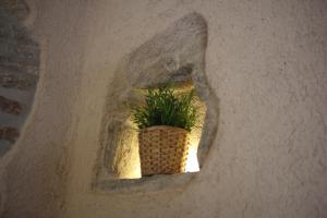 Locanda Vecchia Osteria