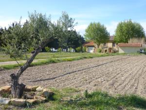 B&B / Chambres d'hotes La Ferme Du Midi : photos des chambres