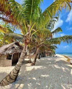 Islas de Guna Yala Cabaña tradicional Guna Tubasenika
