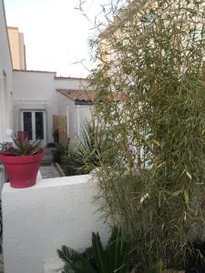 Jolie T2, avec cour privée