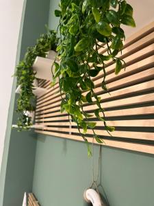 IL COVO DEL PESCATORE