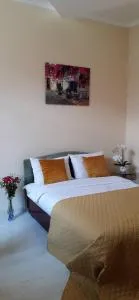 Центрові апартаменти - 伊万诺-弗兰科夫斯克