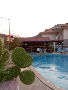 Kayalı apart hotel