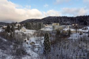 Gîte les coquelicots