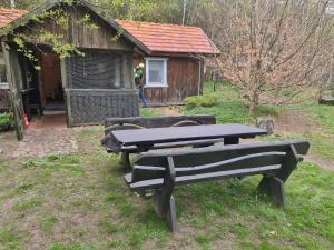 Dom Pod Brzozami Lipinki Bory Tucholskie jacuzzi, ruska bania - psy, koty zapraszamy!!