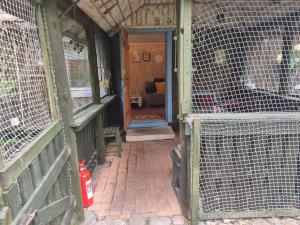 Dom Pod Brzozami Lipinki Bory Tucholskie basen - psy, koty mile widziane!